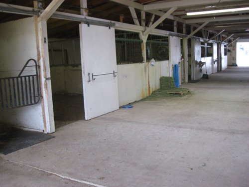 Property photo 43 - 80 Acres Offered in 4 Tracts - Horse Farm